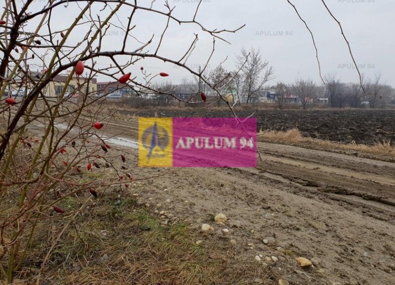 Teren ideal showroom, depozit, logistica, magazin, hala, comercial