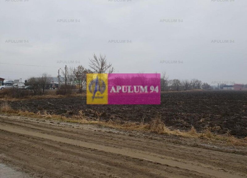 Teren ideal showroom, depozit, logistica, magazin, hala, comercial